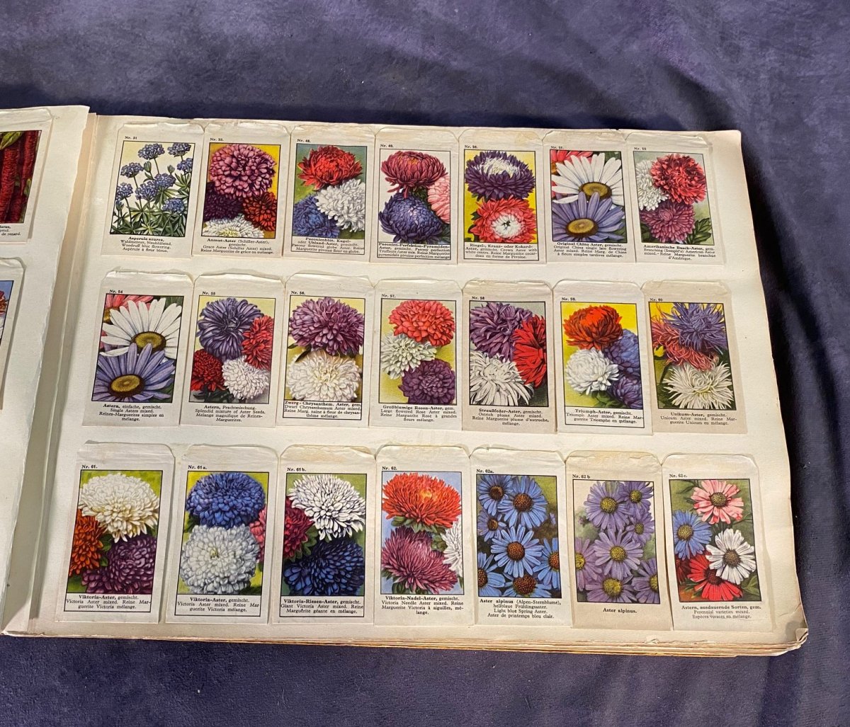 Grand Catalogue Allemand De Graines Pour Fleurs Et Légumes --photo-4