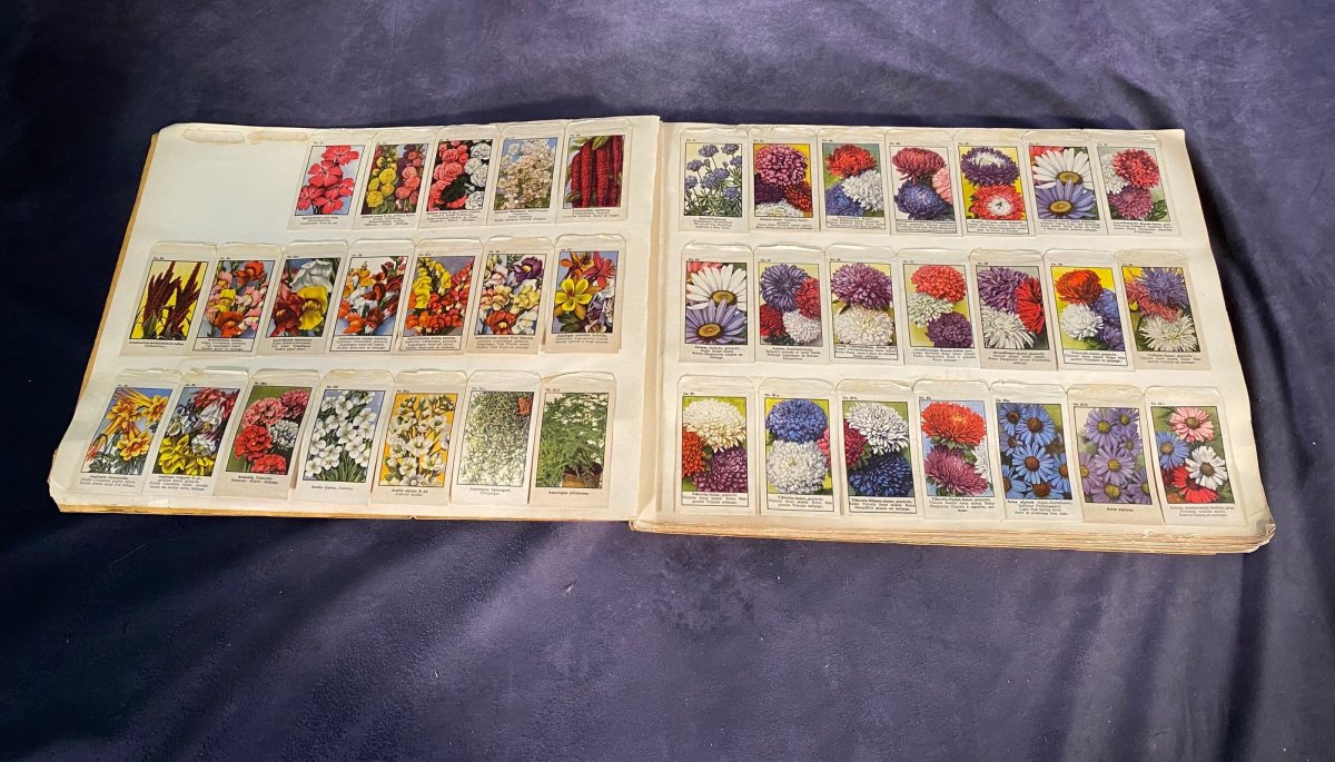 Grand Catalogue Allemand De Graines Pour Fleurs Et Légumes --photo-5