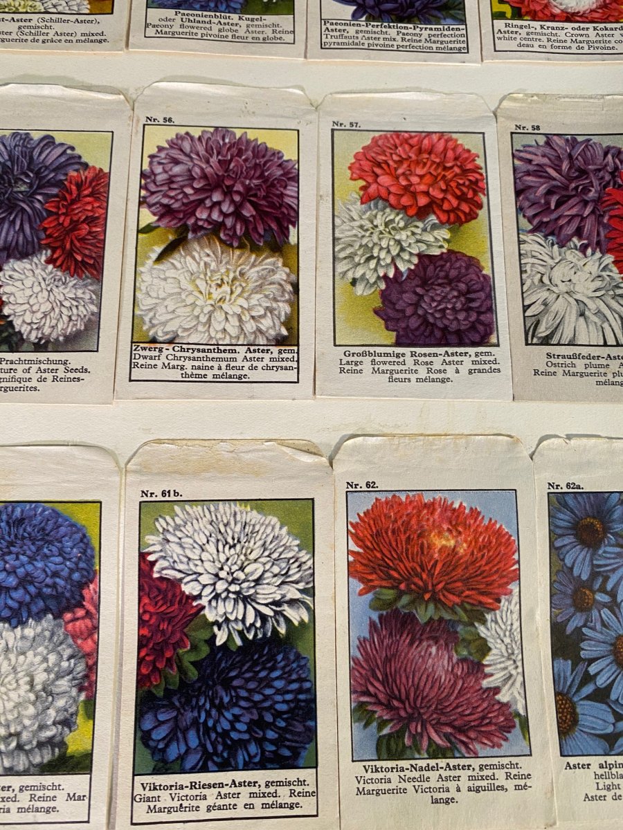 Grand Catalogue Allemand De Graines Pour Fleurs Et Légumes --photo-6