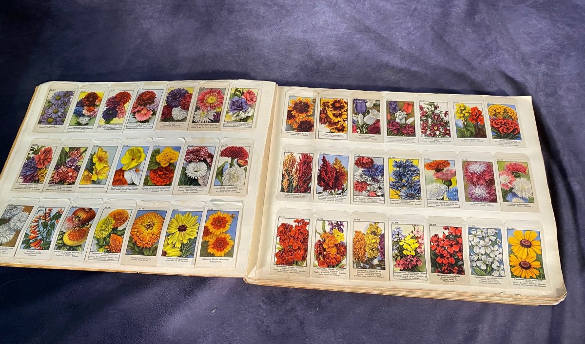 Grand Catalogue Allemand De Graines Pour Fleurs Et Légumes --photo-7