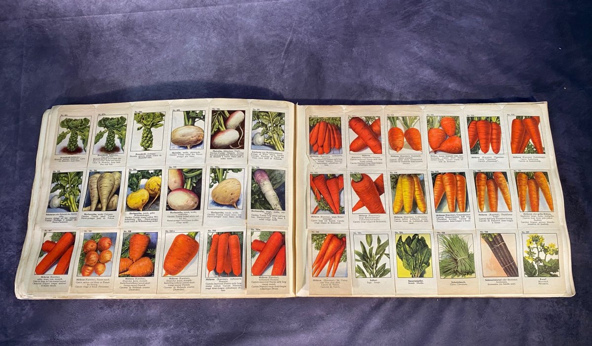 Grand Catalogue Allemand De Graines Pour Fleurs Et Légumes -