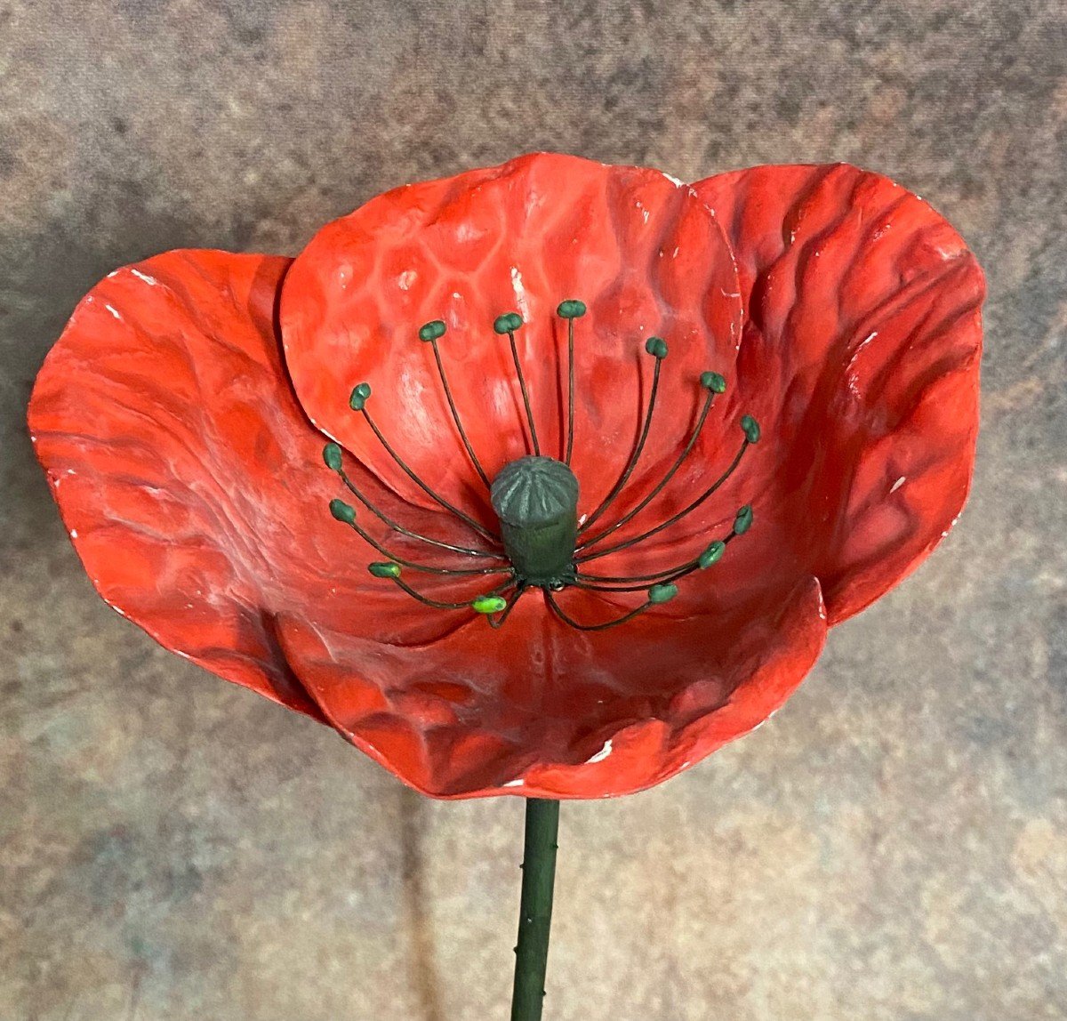 MODÈLE BOTANIQUE ANCIEN DE FLEUR DE COQUELICOT EN PAPIER MACHÉ-photo-3