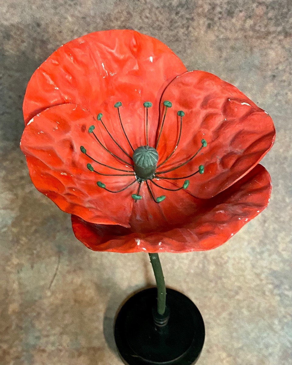 MODÈLE BOTANIQUE ANCIEN DE FLEUR DE COQUELICOT EN PAPIER MACHÉ-photo-4