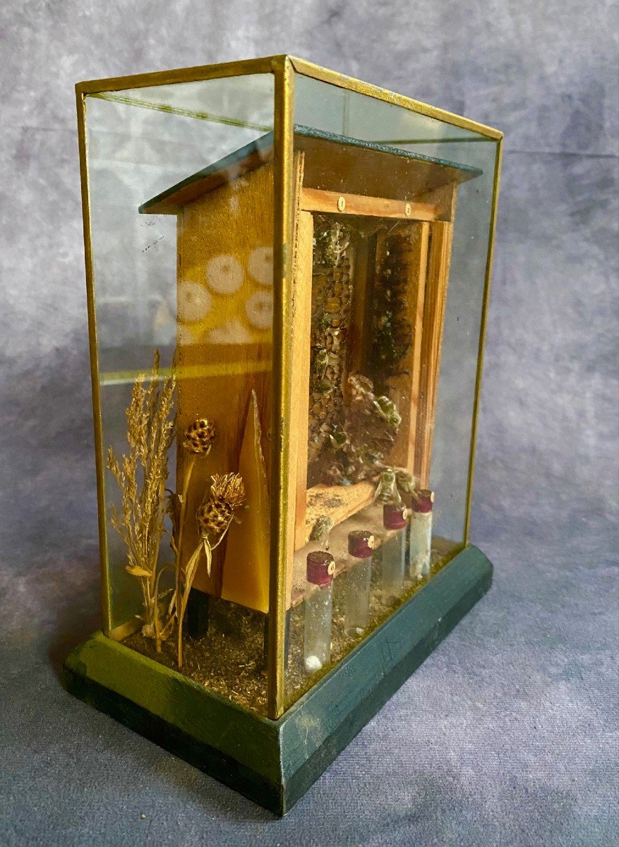 Raro Diorama Di Un Alveare - Apis Mellifera -photo-3