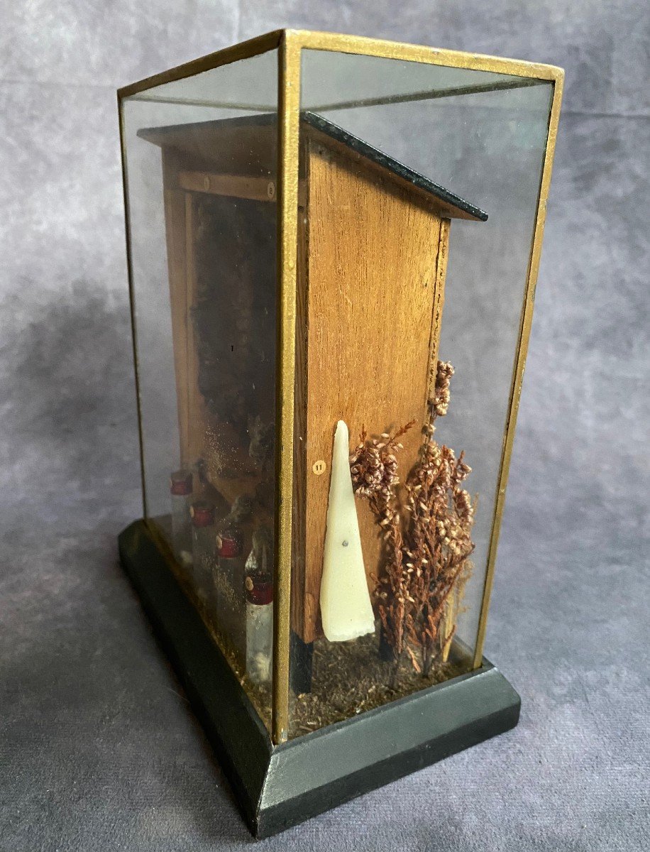 Raro Diorama Di Un Alveare - Apis Mellifera -photo-5