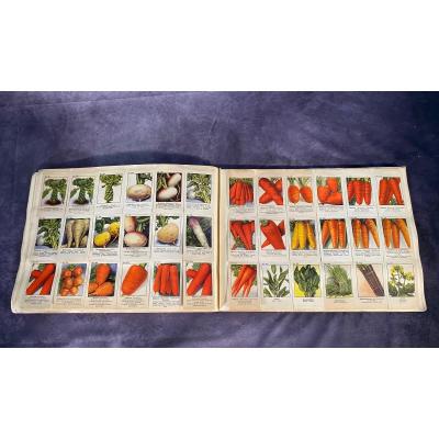 Grand Catalogue Allemand De Graines Pour Fleurs Et Légumes -