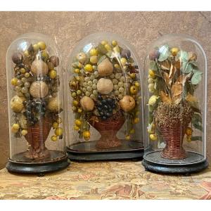 Triomphes de fruits en papier mâché et verre sous cloches de verre - Italie, fin des années 1800
