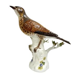 Meissen - Porcelain Figurine Of A Song Thrush
