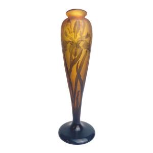 Paul Nicolas d'Argental - Vase Decorated With Iris