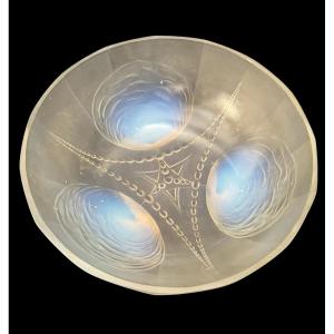 Sabino - Cup “ Shells And Pearls“