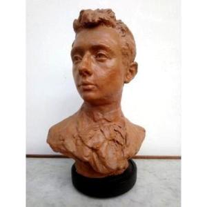Young Man Bust In Terracotta
