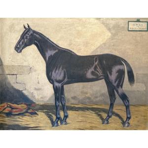 Paul Le More. Portrait Of A Horse. Oil On Canvas, 19th Century. 