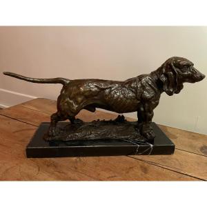 Bronze Hound, Basset 