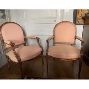 Pair Of 18th-century Flat-backed Files, Louis XVI Period