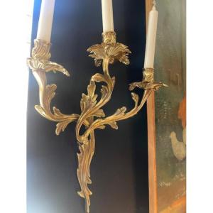 Pair Of Ormolu Rocaille Sconces In The Louis XV Style