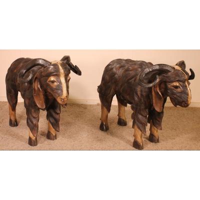 Pair Of Scottish Ram In Polychrome Wood-19 Century