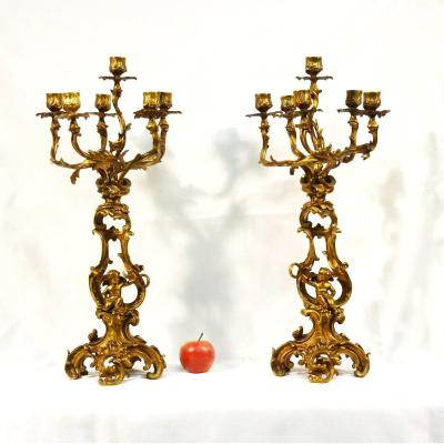 Great Pair Of Candlesticks Louis XV Style Gilt Bronze Candelabra XIX