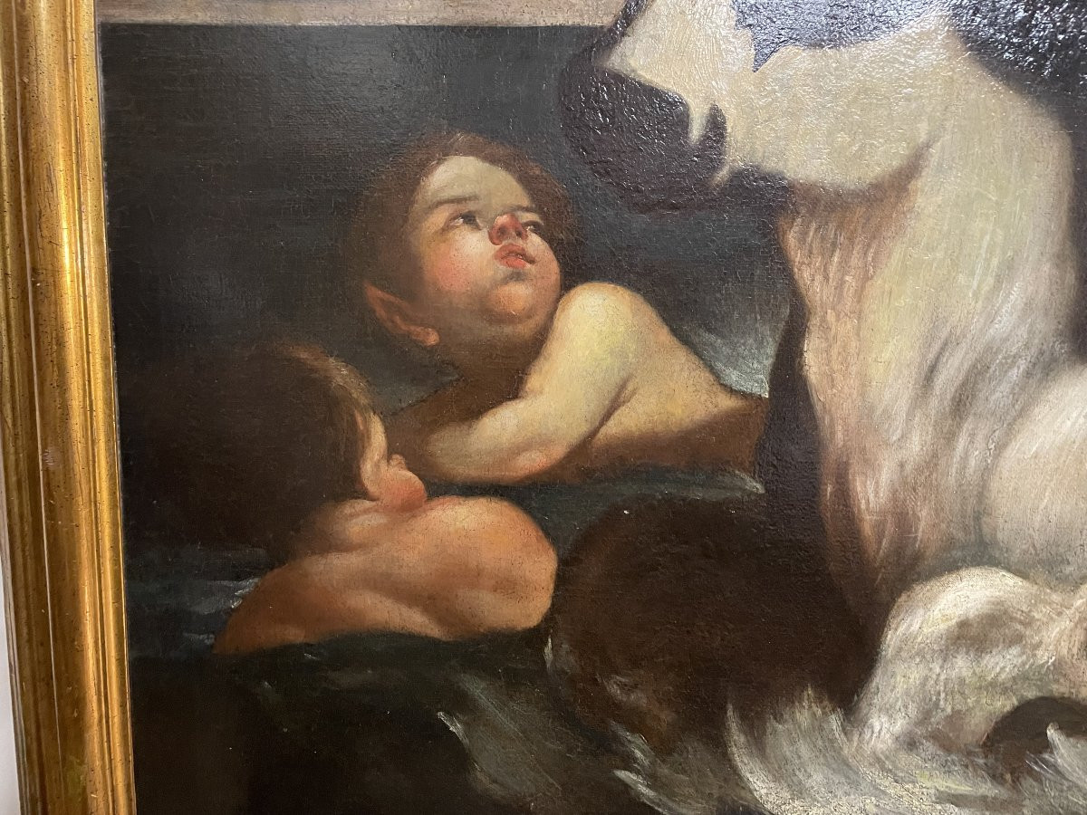 ratto d'europa -photo-3