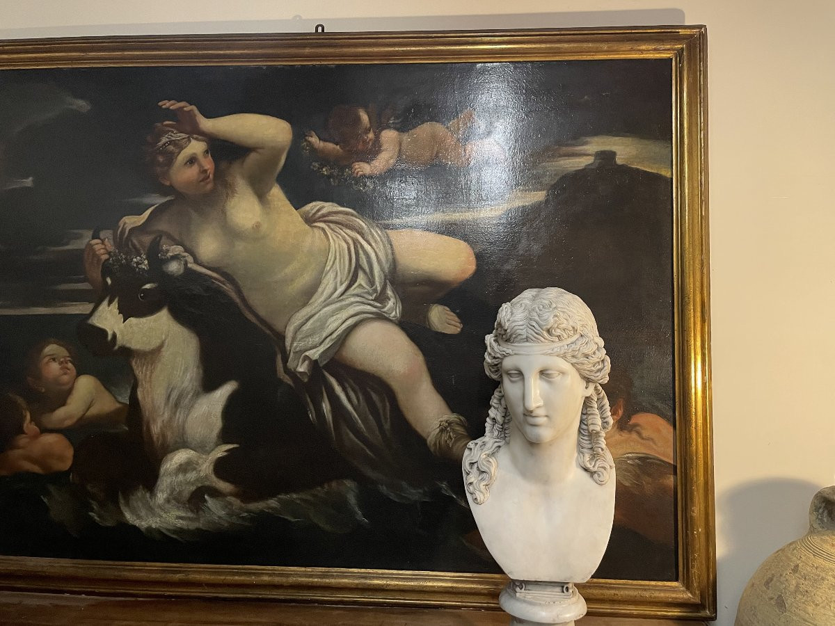 ratto d'europa -photo-4