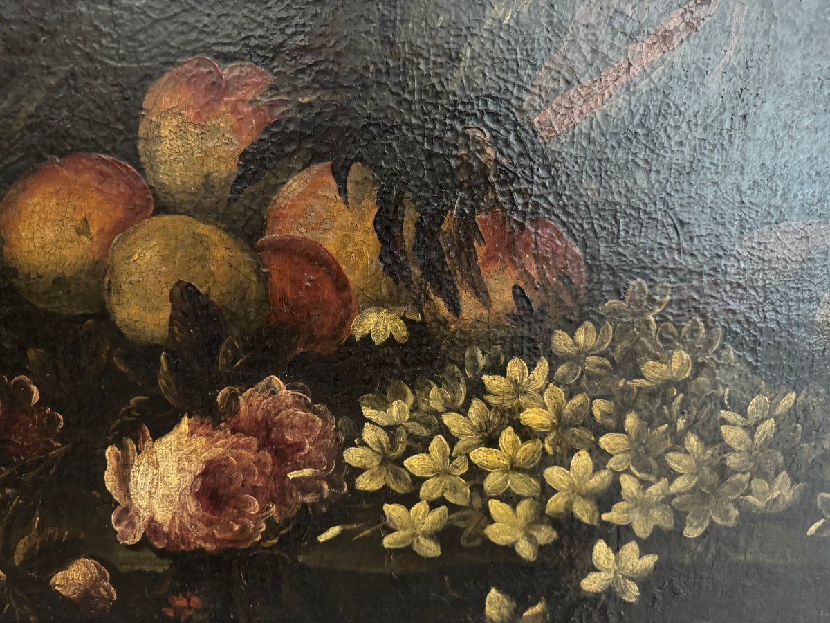quattro nature morte-photo-6