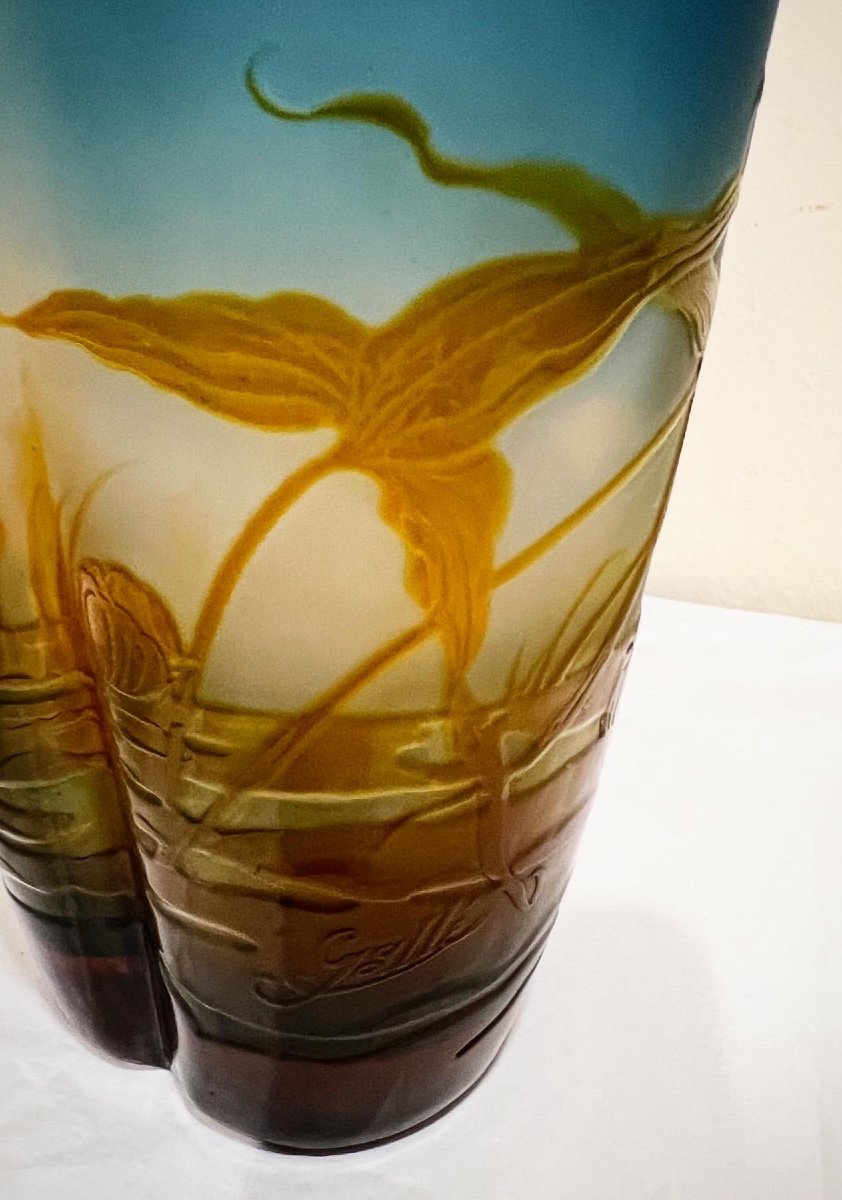 Vegetazione acquatica- Vaso art nouveau Galle -photo-1