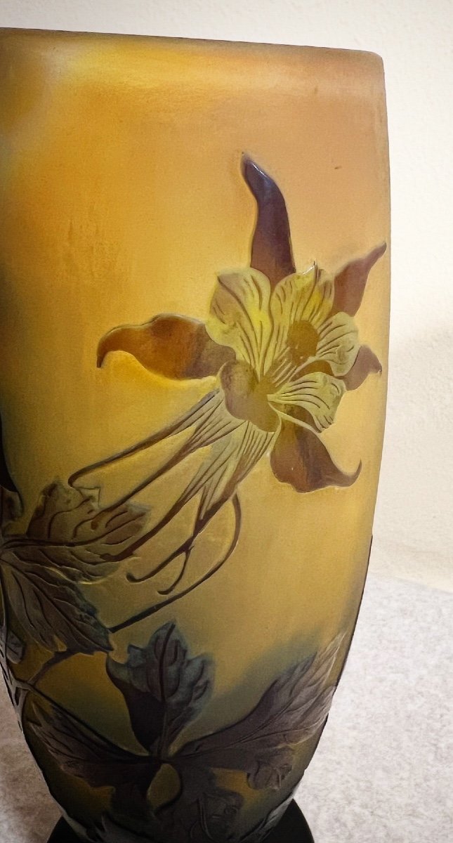 Aquilegia - Vaso art nouveau Galle -photo-3