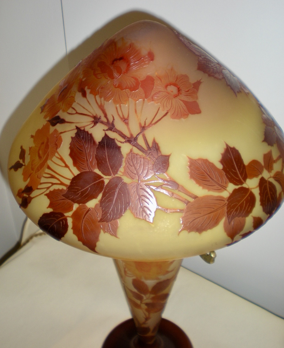 Rose- Lampada a fungo Gallé-photo-1