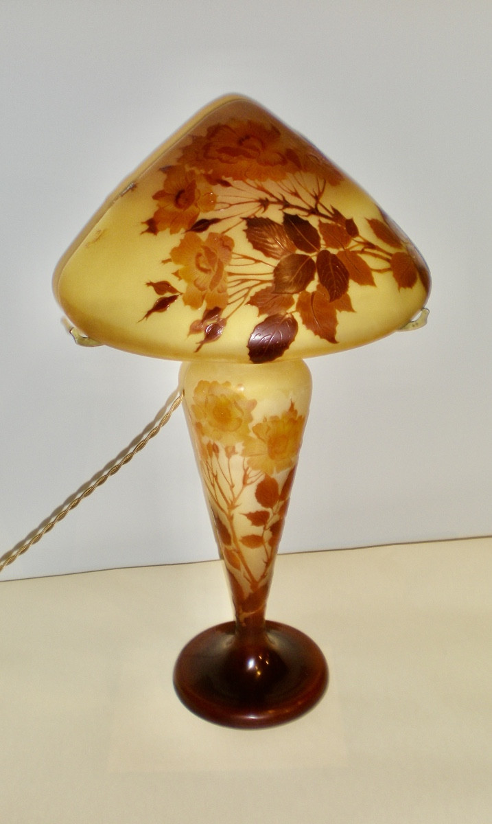 Rose- Lampada a fungo Gallé