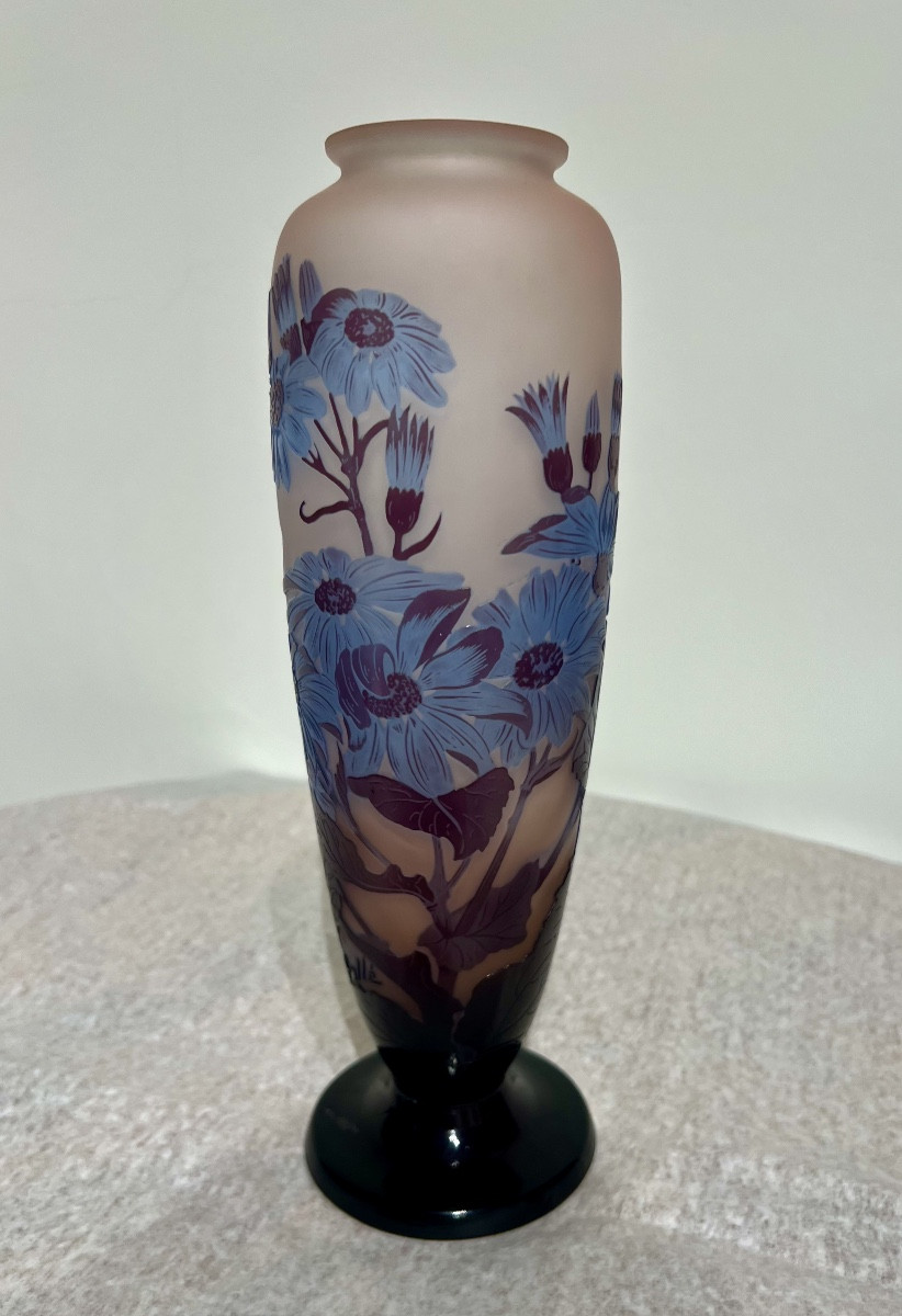 Cineraria- Vaso art nouveau Gallé