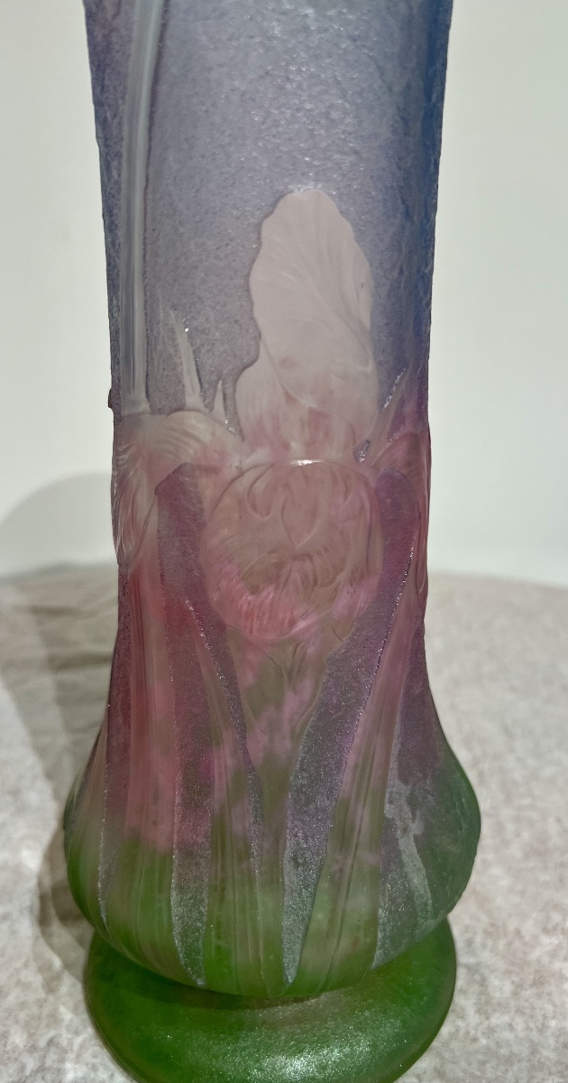 Iris - Vaso art nouveau Daum Nancy -photo-2