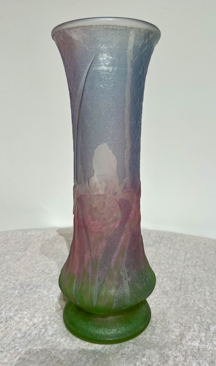 Iris - Vaso art nouveau Daum Nancy 