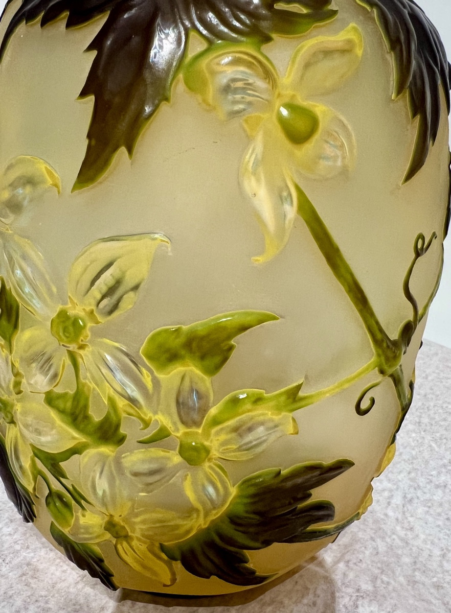 Clematide- Vaso Gallé soufflé-photo-3