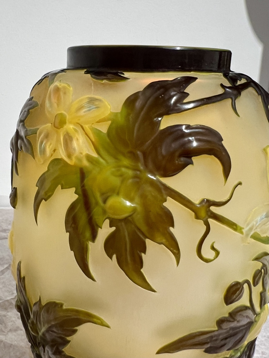 Clematide- Vaso Gallé soufflé-photo-4