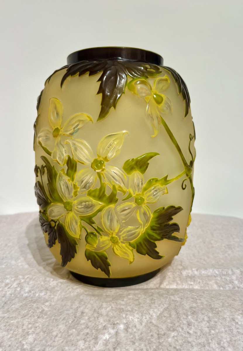 Clematide- Vaso Gallé soufflé-photo-1