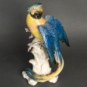 A Porcelain Parrot Sculpture, Early 20th Century 