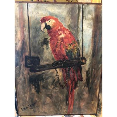 Oil On Canvas The Parrot