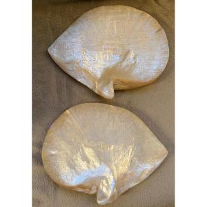 Pair Of Large Carved Seashells 