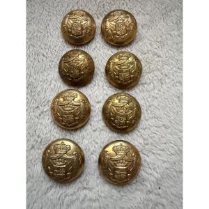 Collection 8 Antique Buttons