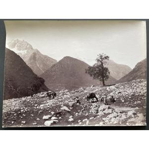 Original Photograph, 1890, Caucasus Mountains, Vittorio Sella