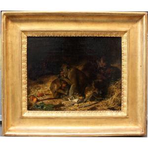 Macaque Family By Paul Friedrich Meyerheim (german 1842 -1915)