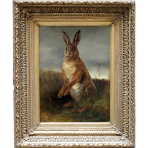Hare In A Field By Ludwig Sellmayr (german 1834-1901)