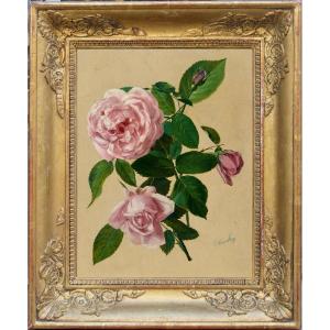 Oil Study Of Roses By Franz Komlósy (austro-hungarian Flower Painter, 1817-1892)