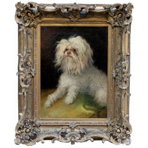 Portrait Of A Maltese Dog By Wilhelm Richter (austrian 1824-1892)