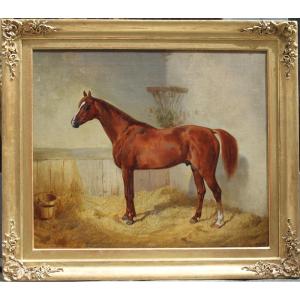 Brown Arabian Horse  "abdelkadr"  In The Stable By Emil Volkers (german 1831 - 1905)