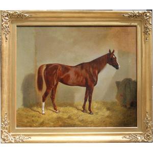 Brown Arabian Horse Named "gondolina" In The Stable By Emil Volkers (german 1831 - 1905)