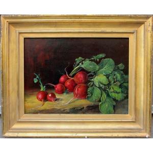 A Study On Radishes By Franz Xaver Wolf (austrian, 1896-1989), Attributed To
