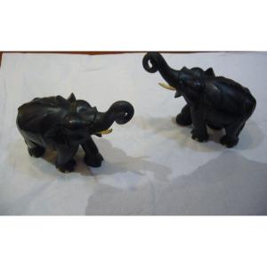 Elephants In Pair Asia