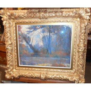 Undergrowth In The Mist By Georges Bradberry