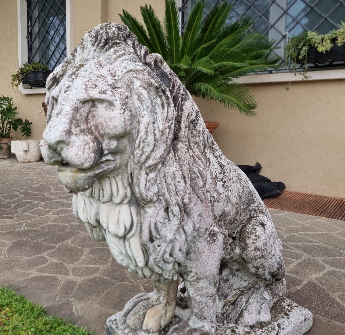 Coppia di Leoni Veneziani in Pietra Ricostruita – Fine ‘800-photo-4