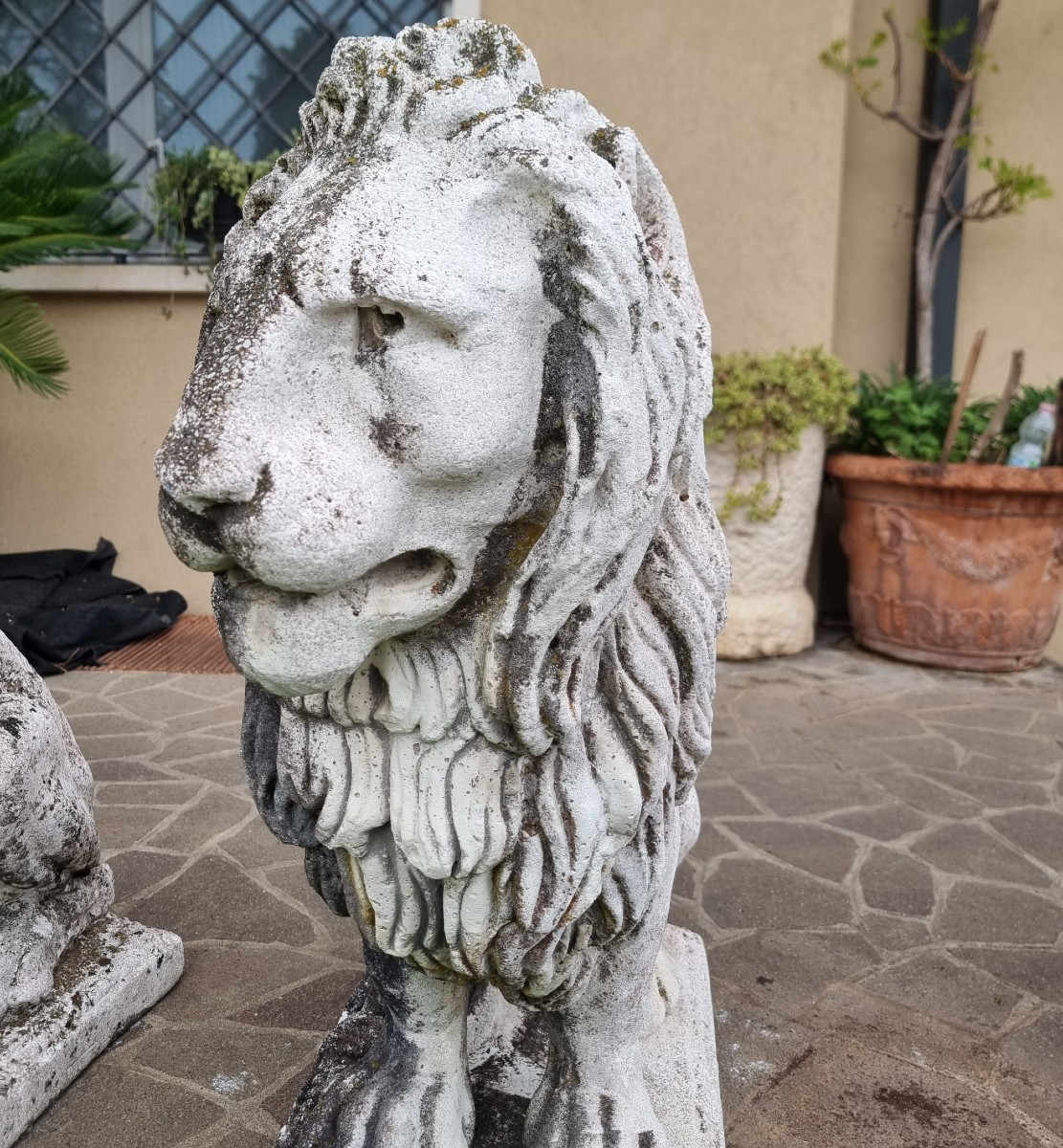 Coppia di Leoni Veneziani in Pietra Ricostruita – Fine ‘800-photo-1